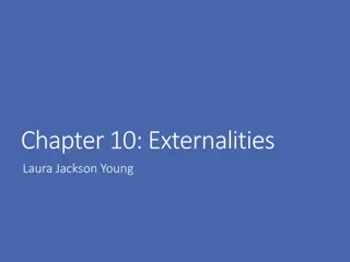 Externalities in Economics