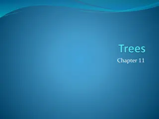 Introduction to Trees in Graph Theory