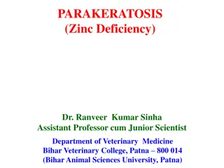 Zinc Deficiency in Animals: Symptoms, Etiology, and Management
