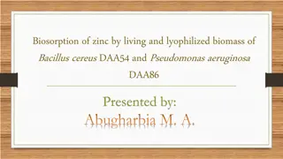 Biosorption of Zinc by Bacillus cereus and Pseudomonas aeruginosa