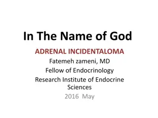 Adrenal Incidentaloma: Etiology, Assessment, and Case Confirmation