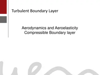 Turbulent Boundary Layer Aerodynamics and Aeroelasticity