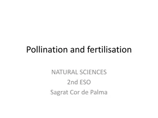 Pollination: Natural Process in Ecosystem