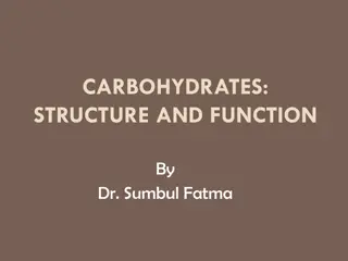 Carbohydrates: Importance, Classification, and Tests