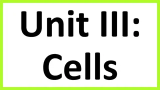 Decoding Cell Size and Surface Area to Volume Ratio
