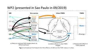 Conceptual Framework for Effects of GBI on FWE Nexus in Cities