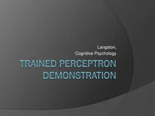 Langston Cognitive Psychology: Trained Perceptron Demonstration