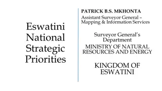 National Strategic Priorities Survey in Eswatini