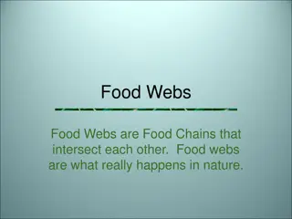 Food Webs in Nature