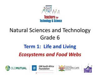 Life and Living Ecosystems: Food Webs in Grade 6