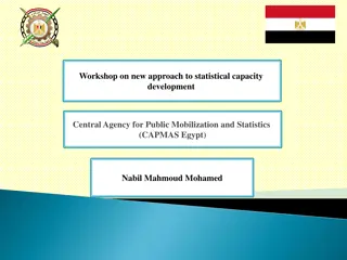 Statistical Capacity Development Workshop at CAPMAS Egypt