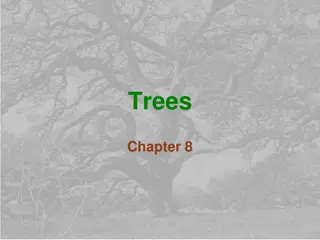 Tree Structures in Computer Science