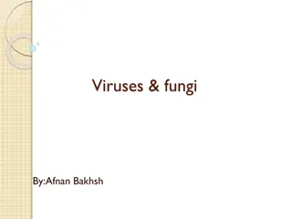 Viruses and Fungi: Understanding their Nature and Benefits