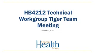 HB4212 Technical Workgroup Tiger Team Meeting Summary