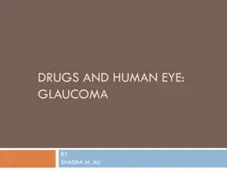 The Human Eye: Understanding Glaucoma and Eye Anatomy