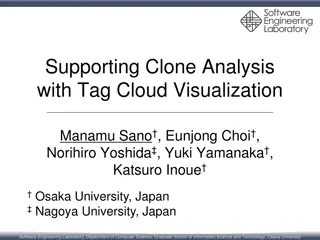 Supporting Clone Analysis  with Tag Cloud Visualization