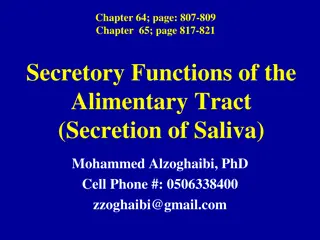 Secretory Functions of the Alimentary Tract: Saliva and Mastication