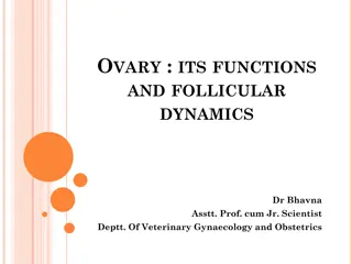 Ovary Functions and Follicular Dynamics in Veterinary Gynaecology