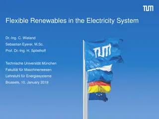 Flexible Renewables in the Electricity System