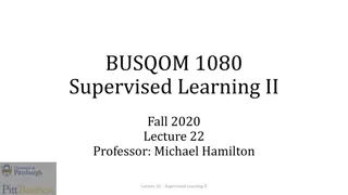 Supervised Learning II - Linear Decision Planes Approach