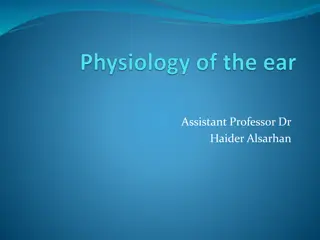 Overview of Hearing and Vestibular Systems