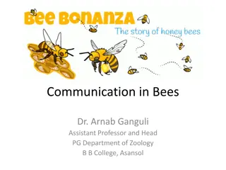 Communication in Bees: The Fascinating World of Honey Bees