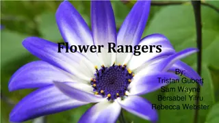 Flower Rangers