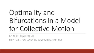 Optimality and Bifurcations in a Model for Collective Motion