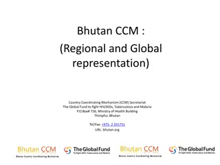 Bhutan CCM: Regional and Global Representation