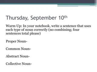 Noun Usage and Pluralization Rule