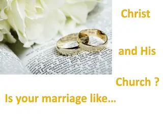 Divine Model of Headship and Submission in Marriage
