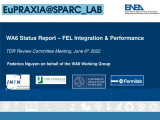 FEL Integration & Performance Review Meeting Summary
