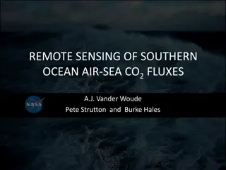 Remote Sensing of Southern Ocean CO2 Fluxes
