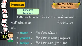 Grammar Pronouns: Reflexive Pronouns for Understanding