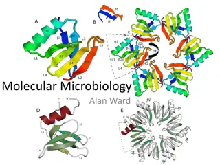 Molecular Microbiology: Study of Microorganisms at Molecular Level