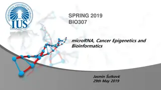 MicroRNA and Epigenetics in Cancer Using Bioinformatics