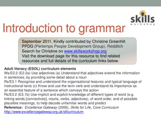 Introduction to Grammar Basics