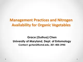 Managing Nitrogen Availability for Organic Vegetables