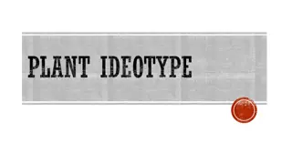 Enhancing Crop Yield Through Ideotype Breeding