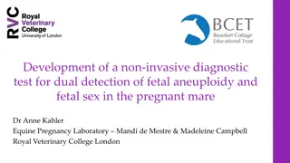 Non-Invasive Equine NIPT for Fetal Aneuploidy & Sex Detection