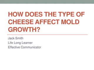 How Cheese Type Affects Mold Growth Experiment