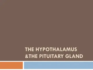 Rare Diseases of the Hypothalamus and Pituitary