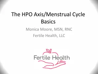 The HPO Axis/Menstrual Cycle