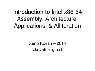 Introduction to Intel x86-64 Assembly and Alliteration Applications