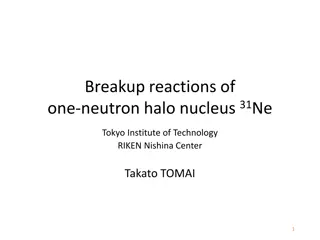 Breakup Reactions of 31Ne Neutron Halo Nucleus at Tokyo Institute of Technology and RIKEN Nishina Center