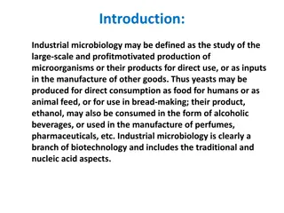 Industrial Microbiology: Production of Microorganisms and Products