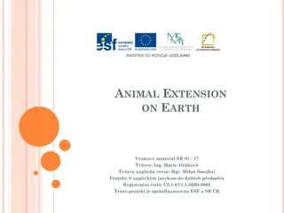 Animal Distribution on Earth