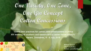 Enhancing Cotton Yield in Africa - Best Practices