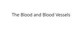 The Blood and Blood Vessels