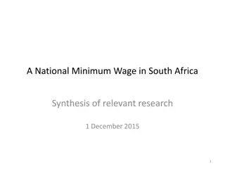 National Minimum Wage Research Synthesis in South Africa